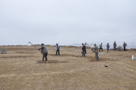 王東紅深入檢查王尹云山國家坡耕地水土流失綜合治理試點(diǎn)工程建設(shè)進(jìn)展